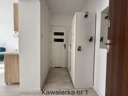 Dwupak Inwestycyjny 50mkw budynek z cegły blisko Manufaktury