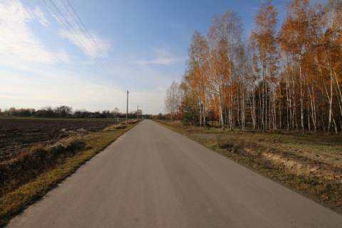 Działka rolno budowlana 65ar Sobolew Kol g. Firlej