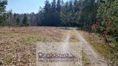 Działka przy lesie