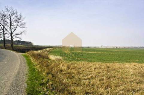 Działka na sprzedaż, 1300 m2, Rosochata