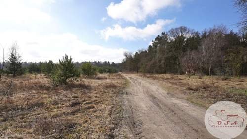 Rezydencjonalna pod lasem Esterpole 2824 m MPZP 