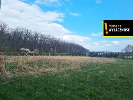Atrakcyjna działka 0,55 arów w Łubnicach
