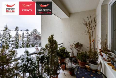 Komfortowe 3-pokojowe mieszkanie Balkon Piwnica