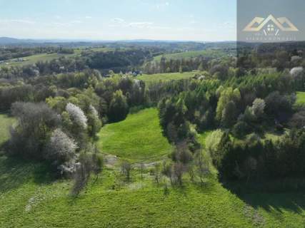 Działka budowlana na sprzedaż, 19800 m2, Zalasowa
