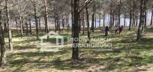 Działka 7053m2 Nierostowo/gm. Konarzyny