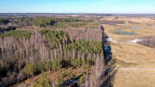 Działka Leśna 2,35 ha Grzegorze gm Orzysz