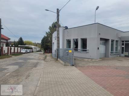 Hala w Łasku