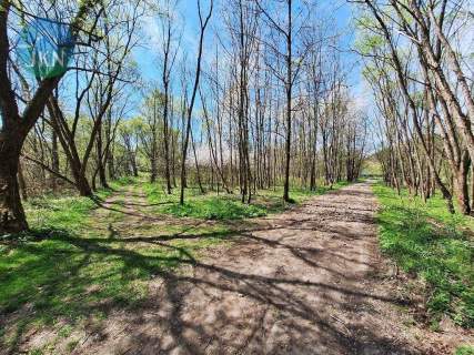 Doświadczaj Beskidów - 20 arów naturalnej wolności
