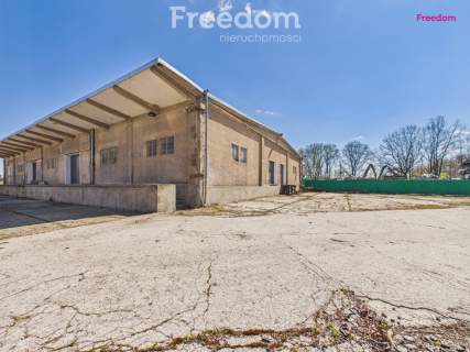 Na wynajem hala 1000m2 z pomieszczeniami biurowymi