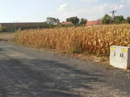 Uzbrojona działka Dębice 1117m2
