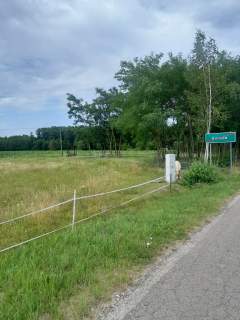 Mszczonów / Szeligi