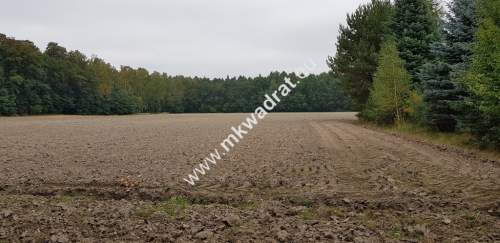 DZIAŁKA W OTULINIE LASU