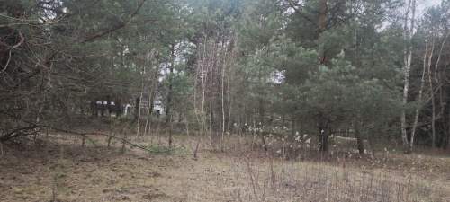 Wyjątkowa działka przy lesie 1500mkw