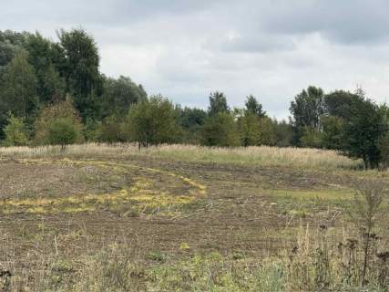 Działka budowlana na sprzedaż, 1492 m2, Stara Dąbrowa