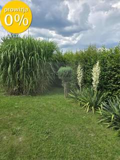 dom z dużą działką
