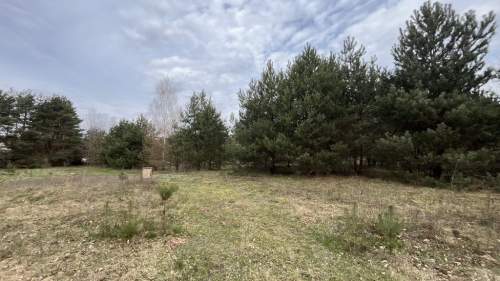 Działka pod zabudowę 991 m2 Kłoda gm. Magnuszew.