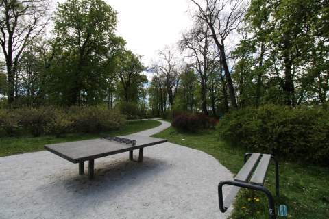 Przestronne, otoczone zielenią, widok na park