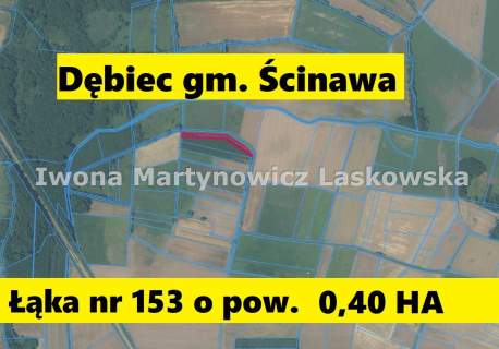 Grunty rolne i łąki - Dębic - Gmina Ścinawa