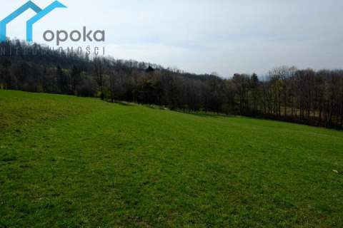Rolna działka w Lesznej Górnej
