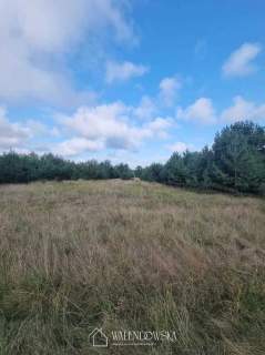 Działka 4000 m2 Smołdzino- idealna lokalizacja