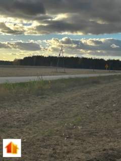 Działka w Żukach 1009 m2 przy drodze asfaltowej.