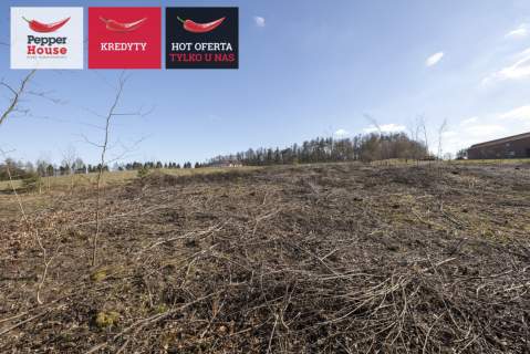 Michalin Działka 10 079 m MPZP 27MN jezioro