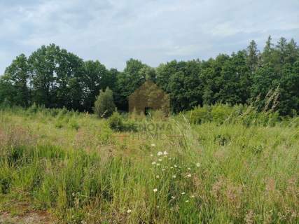 Działka na sprzedaż, 1120 m2, Bielawa