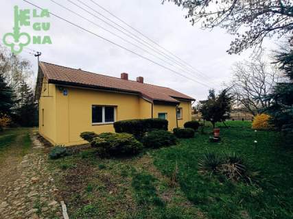 Dom w Kutnie w cenie mieszkania, Działka ok 2500 m2
