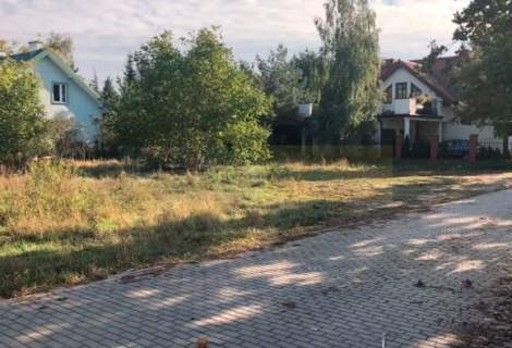 Dąbrowa Leśna , wymiarowa