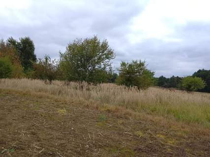 Działka budowlana na sprzedaż, 1492 m2, Stara Dąbrowa