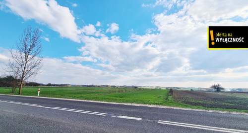 Działka 10 800m2 Łubnice w otoczeniu pól, obok las