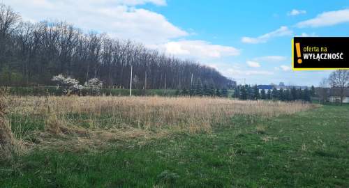 Atrakcyjna działka 0,55 arów w Łubnicach