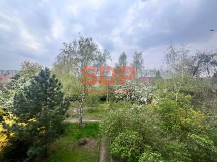 DUŻY 1-POK. / OSOBNA KUCHNIA / LOGGIA / GRABISZYN