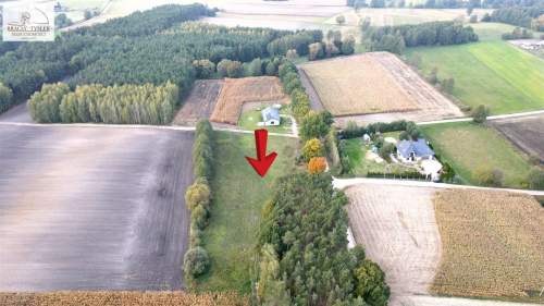Zarośle Cienkie 7463m, Działka z WZ otoczona lasem