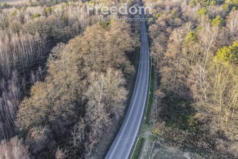 Działka 39,75 ar przy drodze i lesie Giedlarowa