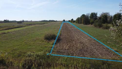 Działka budowlana 0.55 ha Sielce gm. Końskowola