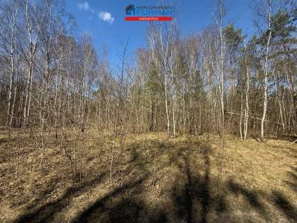 Działka budowlana na sprzedaż, 3094 m2, Czechyń