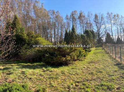Działka budowlano-rolna Wodzisław 1,5km od centrum