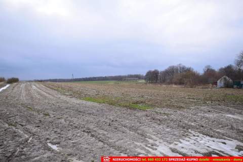Wierciszów, działki budowlane MN, media 100%.
