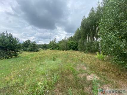 Działka budowlana w Gołąbku 1514m 