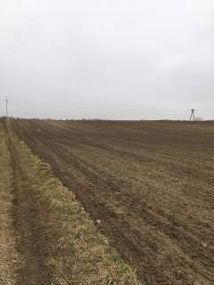 Działka 3000m2 Tomaszowice- Kolonia