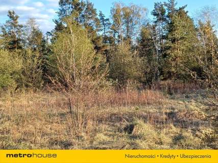 DUŻY TEREN INWESTYCYJNY 6800 m CHOSZCZÓWKA