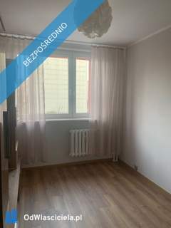 Do wynajęcia mieszkanie 70 m2 w Katowicach