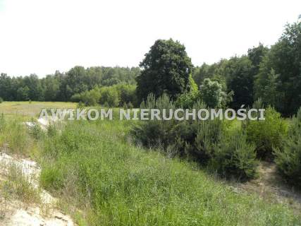 Działka na sprzedaż, 9800 m2, Wola Szydłowiecka