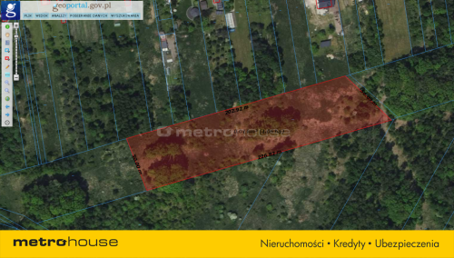 Działki rolne kolonia poczesna po 1,06 ha