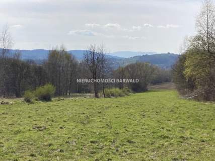Działka budowlana na sprzedaż, 2934 m2, Lanckorona