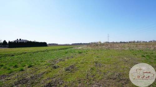 Działka 800 m z projektem domu i garażu Września
