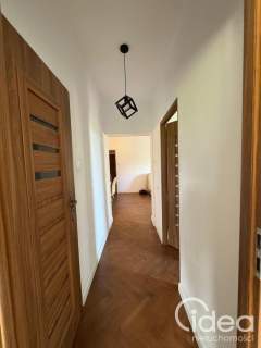 3 pokoje w Centrum, zielona okolica, balkon