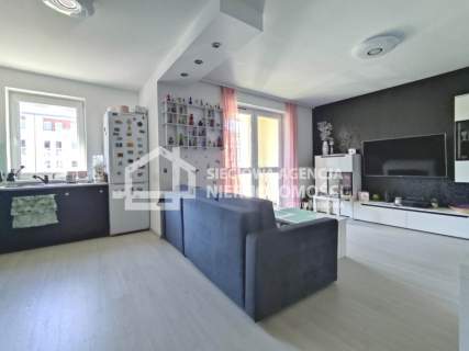 mieszkanie na wynajem Borkowo 2 pokoje 49,50 m2