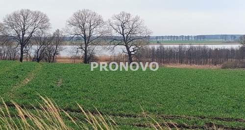 działka nad rzeką Dziwną